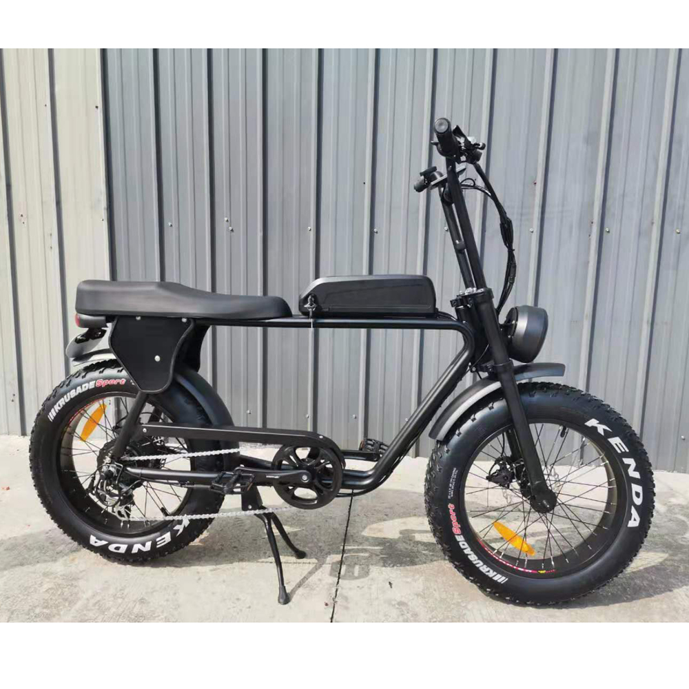 20 inch ebike conversion