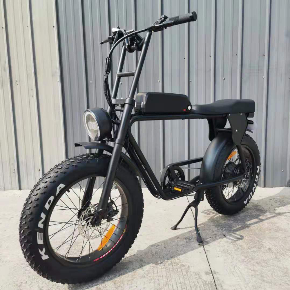 two seater electric bike