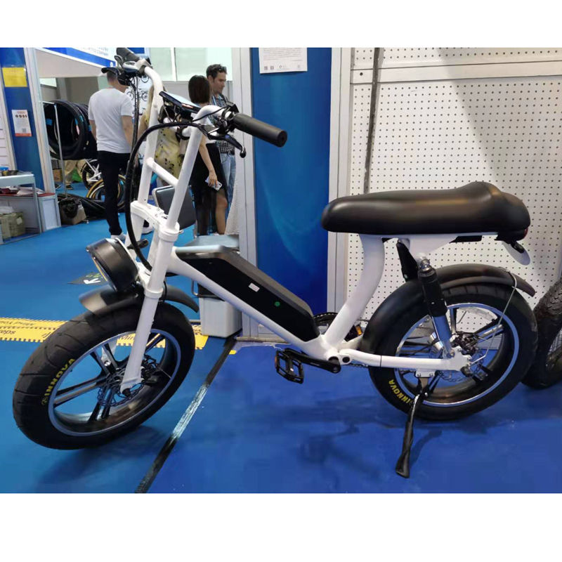 two seater electric bike